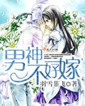 男神都已嫁作品集